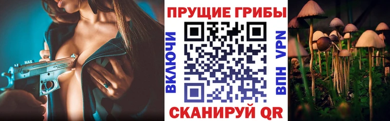 Галлюциногенные грибы MAGIC MUSHROOMS  omg ТОР  Высоковск 